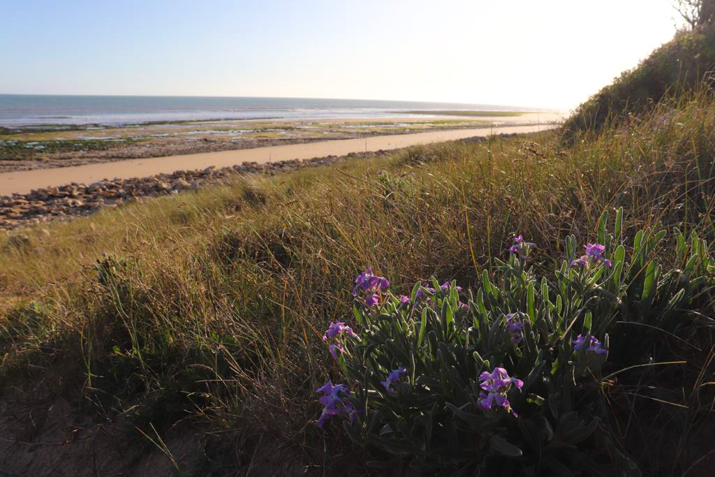 IMG 20210316 WA0004 edited