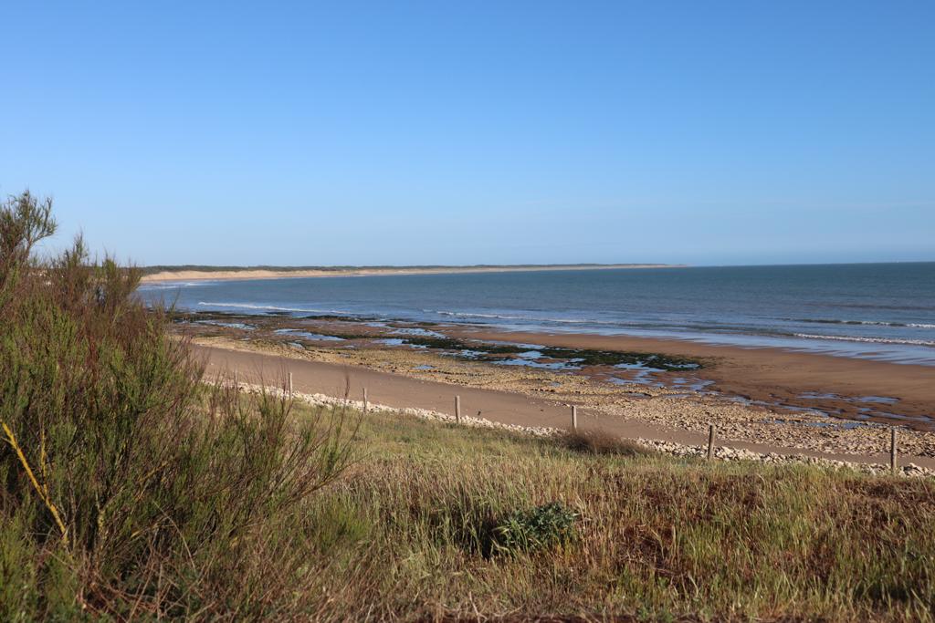 IMG 20210316 WA0007 1