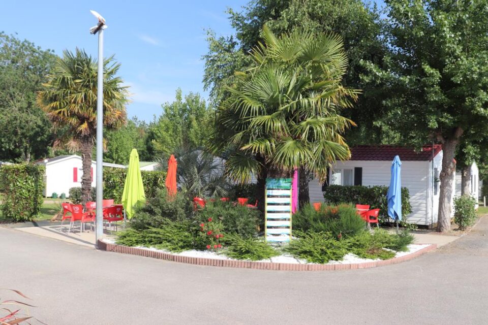 PHOTO 2021 06 10 18 46 54 1